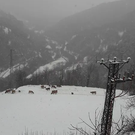Отель Rural L'ortiga Blanca Керальбс