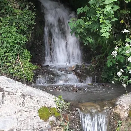 Rural L'ortiga Blanca Hotel Queralbs (Caralps)