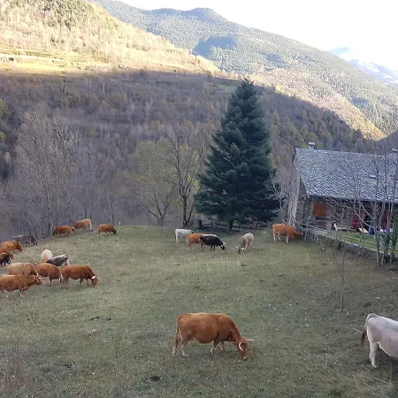 Rural L'ortiga Blanca * Queralbs (Caralps)