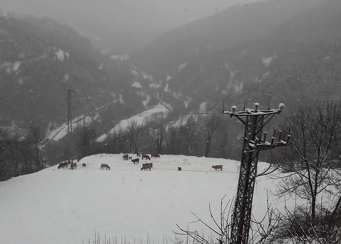 Отель Rural L'ortiga Blanca Керальбс