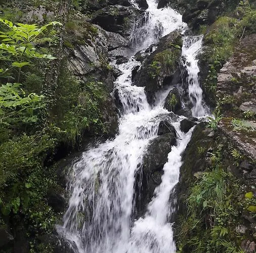 Rural L'ortiga Blanca