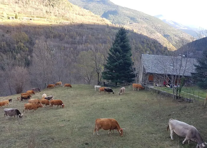 Rural L'ortiga Blanca * Керальбс